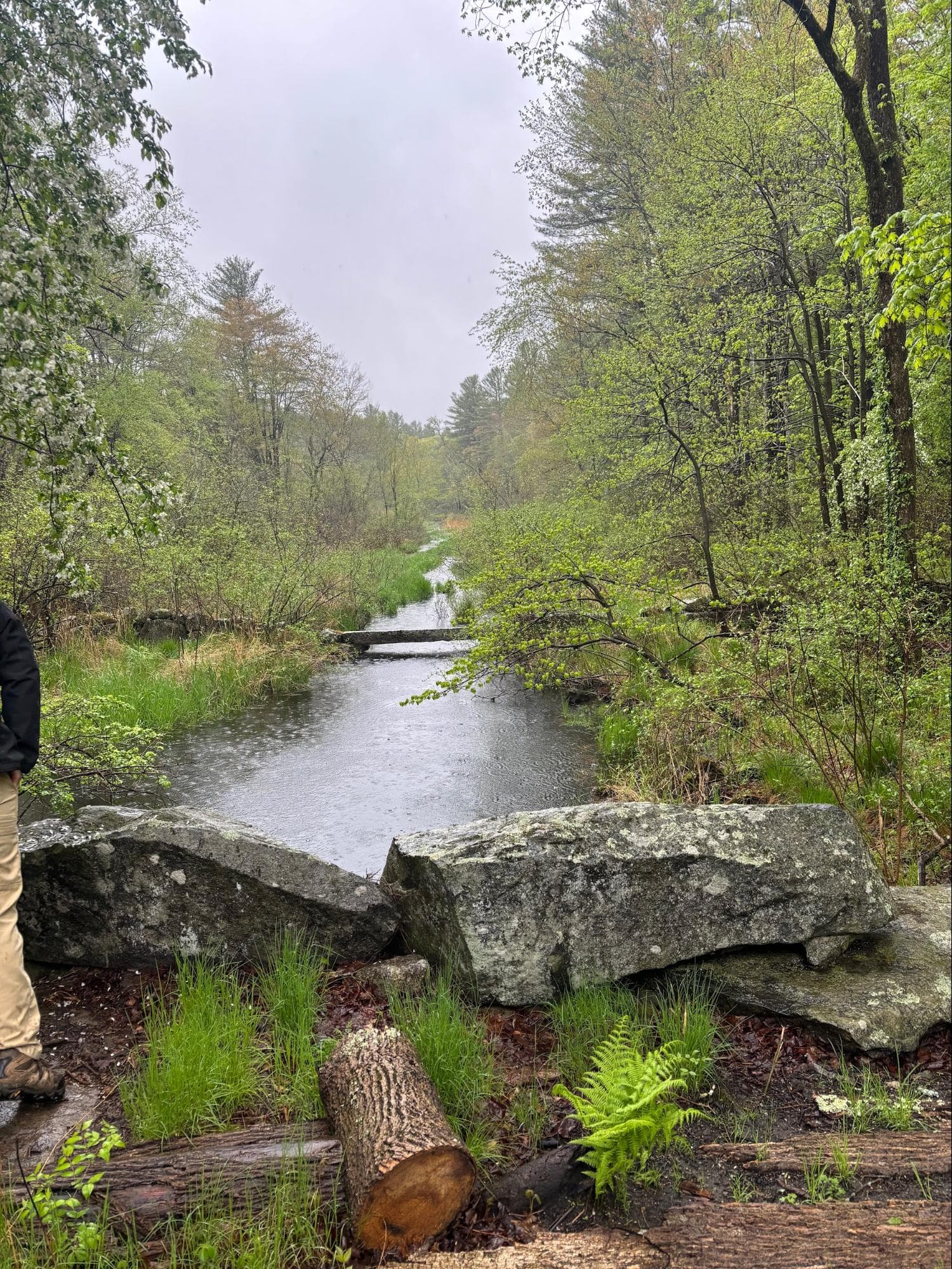 Creek's Edge Landscape 13